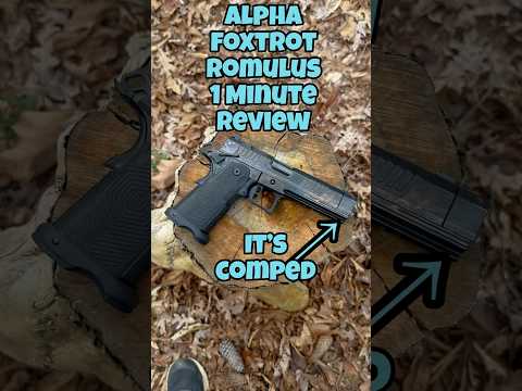 Alpha Foxtrot 1911 9mm - Range Time