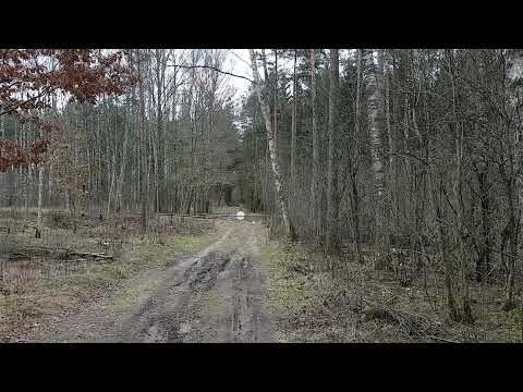 #Barczewko Uchwycone na spacerze.