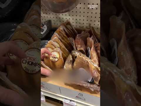 From wishlist to wagging tails, how Angel Trees help pets in need