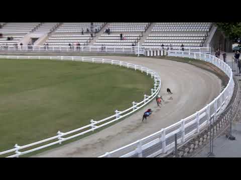 2020.05.29. 03. futam - MAY TROPHY SPRINT A2