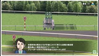 【ダビスタSwitch】まだまだオンラインのＢＣイベントに参加してるよ！2025年新年から６レース分収録【久しぶり】