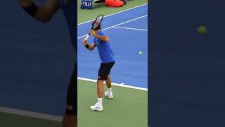 Majestic Roger Federer Backhand #shorts