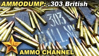 &#39;The Ammo Dump&#39; Epsiode 2: Let&#39;s talk about 303 Brit