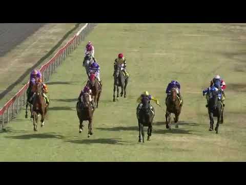 All Shiraz Wins Maiden