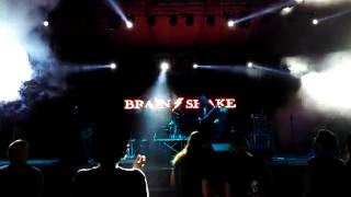 BRAIN/SHAKE (Tribute AC/DC) Shot to thrill live al Summer Fest 2016 #acdcitalia #brainshake