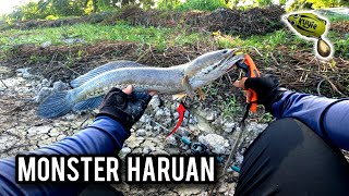 Download lagu CASTING HARUAN | REZEKI LUBUK PARIT BARU CUCI  | BULLZEN TOMAHAWK | VLOG624 mp3