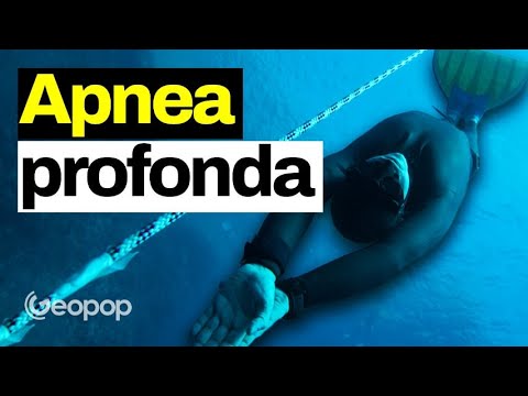 Freediving to a depth of 100 meters. Freediving techniques with Antonio Mogavero.