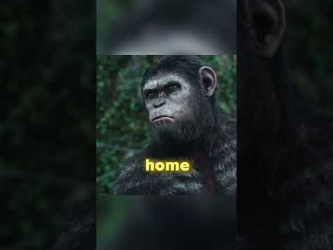 Caesar Speech to San Francisco | Dawn of The Planet of The Apes
