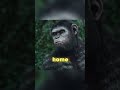 Caesar Speech To San Francisco Dawn Of The Planet Of The Apes