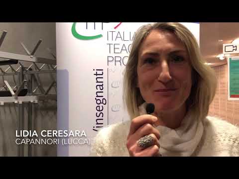 Italian Teacher Programmes Cern INTERVISTE Cern Ginevra Fisica formazione docenti insegnare fisica