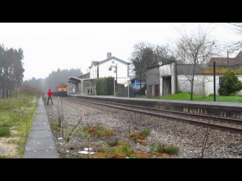 CP 1971 com cimento - Guia