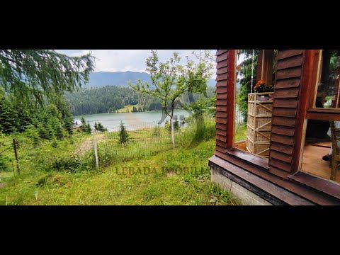 Cabană Colibița| Bistrita | Lebada Imobiliare |