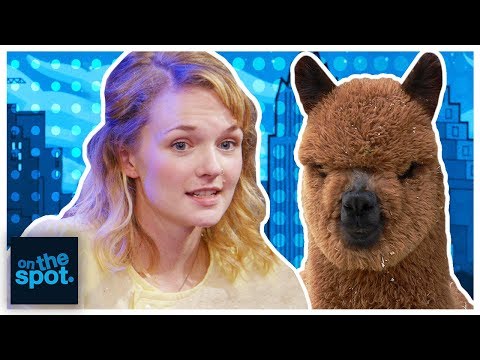 On The Spot: Ep. 131 - The Alpaca Show | Rooster Teeth