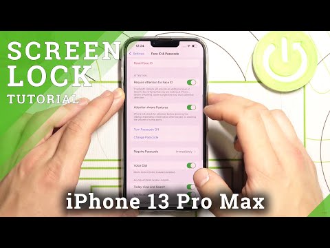iPhone 13 Pro Max – All Unlock Methods