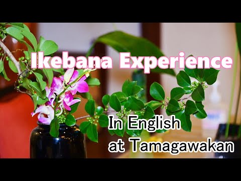 Ikebana Experience in English