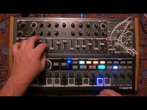 Arturia MiniBrute 2s - NO TALKING