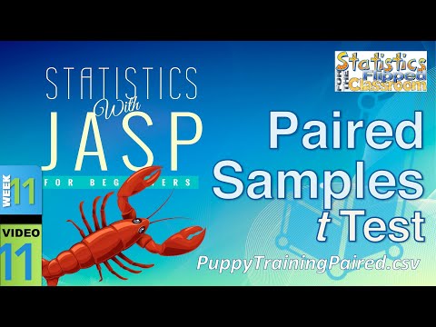 How to do a Paired Samples t Test in JASP (11-11)