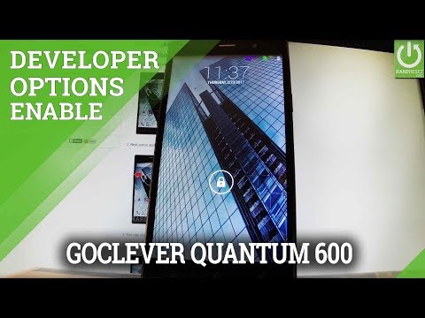 How to Enable Developer Options in GOCLEVER Quantum 600