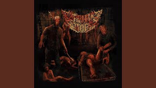 Download lagu Dragged mp3