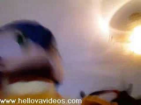 Transformers and Sonic 2 Bastardized Bloopers