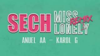 Anuel AA, Sech Ft Karol G - Miss Lonely Remix 2
