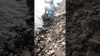 Download lagu Senyum manis sang angler kalo lagi strike,,,#mancing mp3