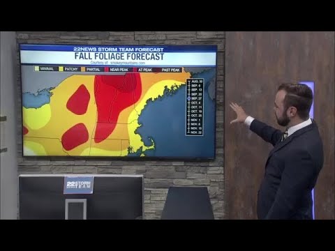 When is peak fall foliage expected?