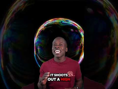 Pistol shrimp claws create heat hotter than the sun! Truth or Trash Episode 205 #biology #science