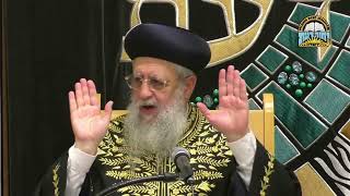 האם מותר לכוונן סטנדר בשבת I מרן הראשון לציון הגאון רבי דוד יוסף שליט"א #הראשון_לציון #שבת (מוסדות יחווה דעת) - התמונה מוצגת ישירות מתוך אתר האינטרנט יוטיוב. זכויות היוצרים בתמונה שייכות ליוצרה. קישור קרדיט למקור התוכן נמצא בתוך דף הסרטון