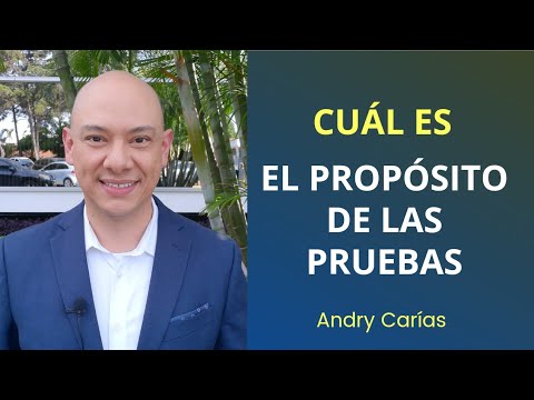 ¿Cuál es el propósito de las pruebas? - Andry Carías
