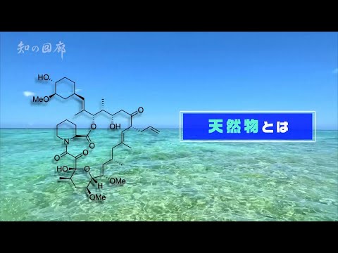 中央大学『知の回廊』にてテクモフ紹介の動画サムネイル（河野先生・坪井CEO出演）