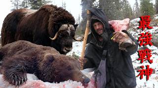 [問卦] 人類應該也是金字塔頂端吧