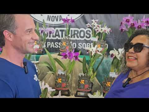 A CIDADE DAS ORQUÍDEAS  RECEBE EXPOSIÇÃO  EM 2025: "DADO" NOS MOSTRA O PODIUM!