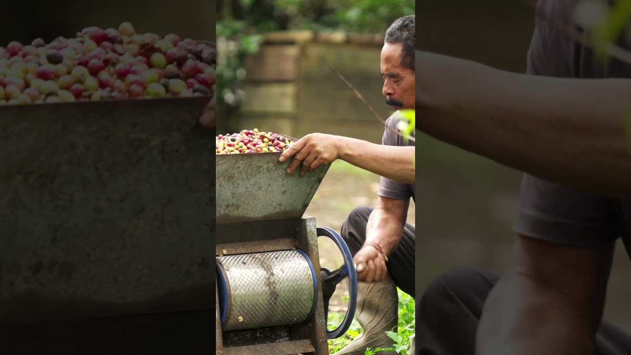 Coffee Farmers and Workers Deserve a Living Income