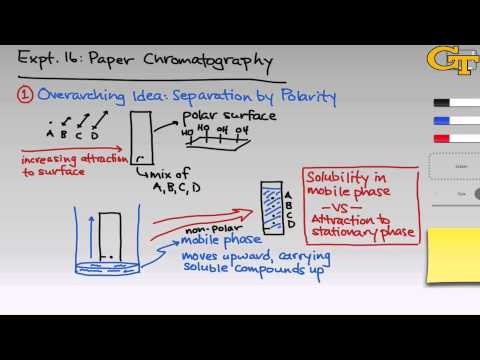 Paper Chromatography | Intro & Theory