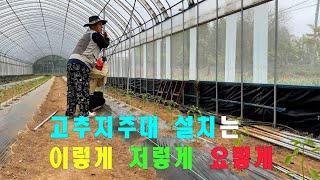 고추 지주대 설치 방법