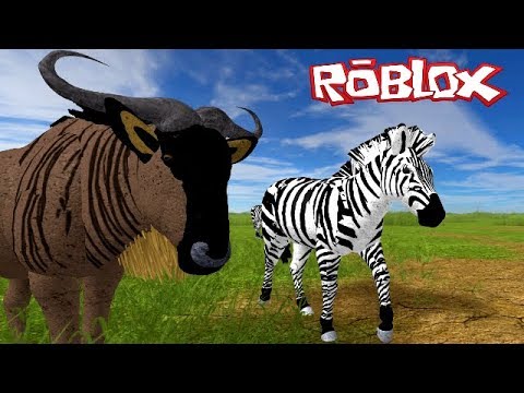 Roblox Wild Savannah  How To Pounce  Earn Free Robux No Survey