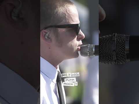 THE INTERRUPTERS - SOUND SYSTEM (OPERATION IVY COVER) PID DOC