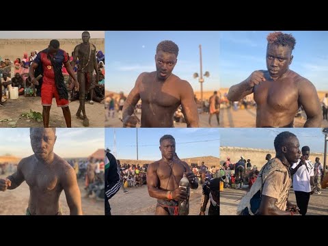 ZILO TV LAMB est en direct !lamb diamniadio borri guedj