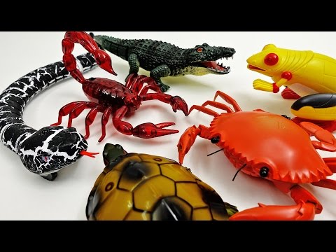 Super Creepy Toys Collection 2 R/C Snake Crab Scorpion Turtle Alligator Frog Video