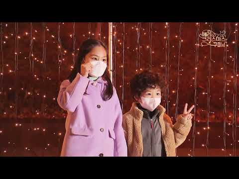 메리크리스마스/구미시청 크리스마스트리/ 시청앞 전구터널