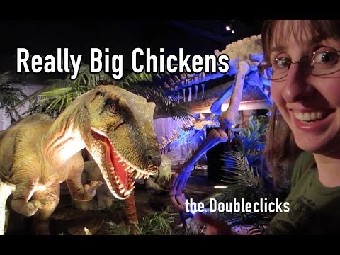 Really Big Chickens video