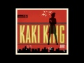 Kaki King - Falling Day