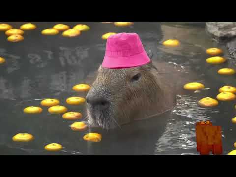 14/02/23 REVENTANDO HYPIXEL 2023 // !SocIal Sigan a Coolbet en Instagram✨