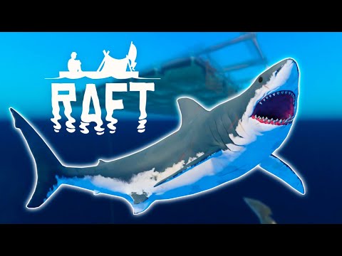 How to deal with the Shark in RAFT - Quick Guide