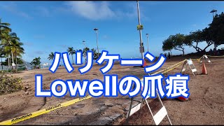 【ハワイ在住】Lowell通過後のヒルトンラグーンを歩いてみた