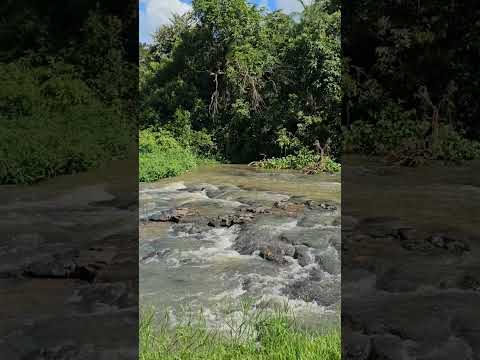 Pontes Gestal SP - Pedacinho do passeio da Rota 408  #viajandopelobrasil