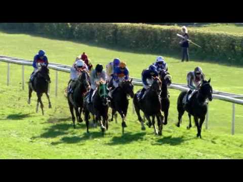 Dielsdorf/25.09.2016/41. GP Land Rover - Jockey Club