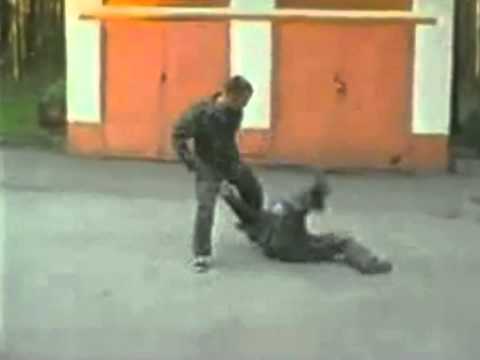 Systema demonstration in full speed