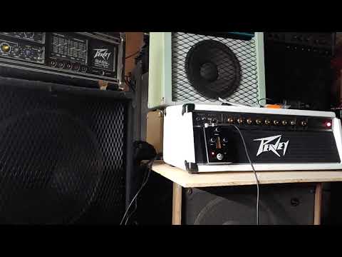 Peavey Festival 220 series Restored & Serviced | Reverb